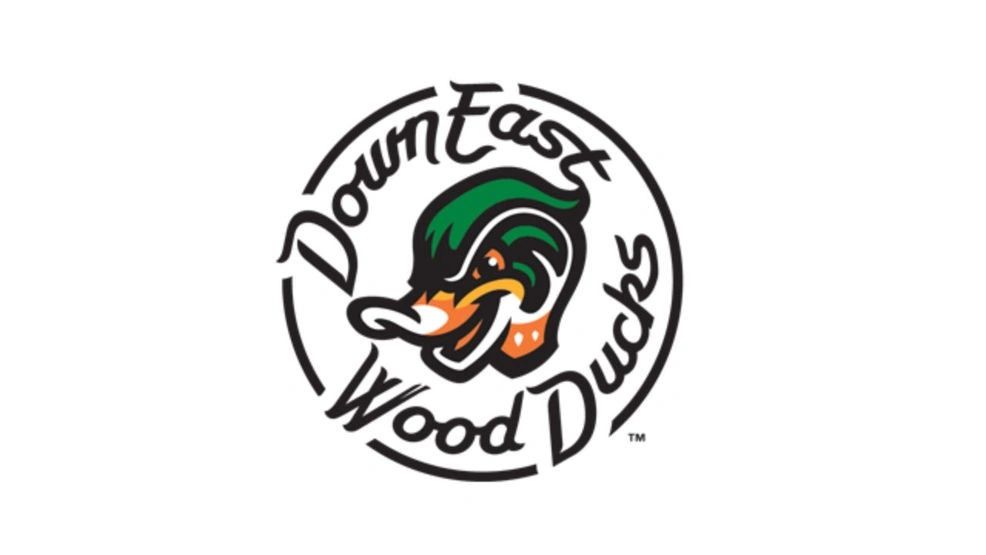 Down East Wood Ducks